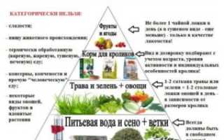 Можно ли печенье кроликам