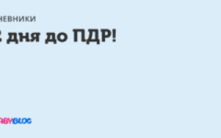 До пдр осталось 2 дня