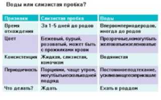 За сколько начинает отходить пробка перед родами