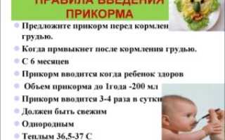 Как правильно вводить прикорм в 6 месяцев ребенку