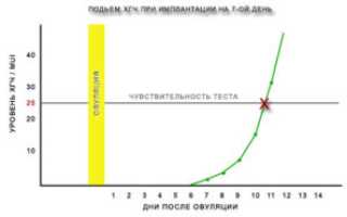 Хгч до имплантации эмбриона