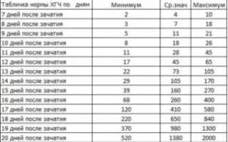 Хгч вырос а потом упал в начале беременности