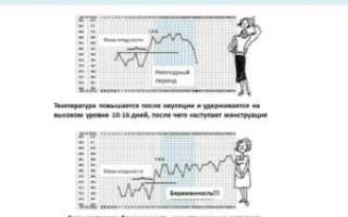 Температура 37 на ранних сроках беременности это нормально