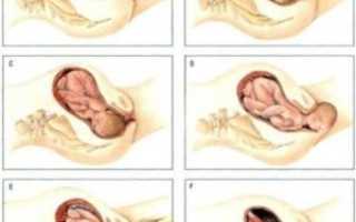 Ощущения перед началом родов