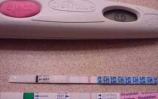 Medismart early pregnancy test