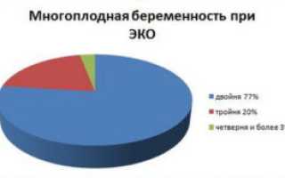 Многоплодная беременность при эко