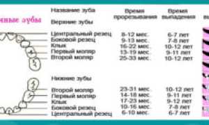 Температура при прорезывании зубов сколько дней