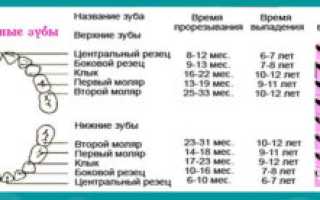 Температура при прорезывании зубов сколько дней