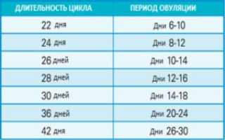 Как рассчитать овуляцию при цикле 34 дня