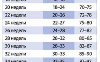 Окружность живота у плода по неделям беременности