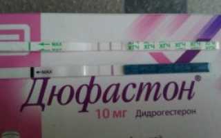 При приеме дюфастона хгч