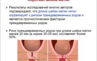 Шейка матки длинная при беременности