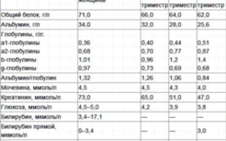 Биохимический анализ крови при беременности