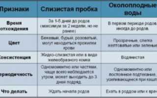 Если отошла пробка через сколько начнутся схватки