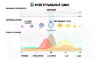 Овуляция как не забеременеть