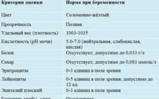 Норма моча у беременных