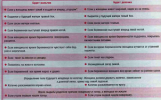 На каком месяце беременности можно определить пол ребенка