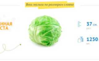 29 недель размер плода