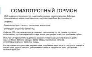 Соматотропный гормон выделяется ночью