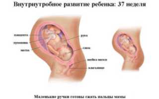 Развитие плода на 37 неделе