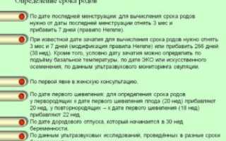 От чего зависит дата родов