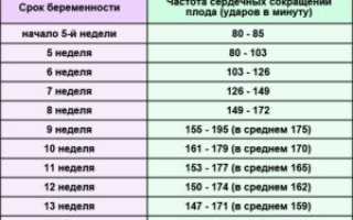 Сердцебиение по неделям беременности